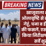खाजूवाला क्षेत्र में ओलावृष्टि से खराब हुई गेहूं, चना व ईस्बघोल की फसलें, एसडीएम ने किया निरीक्षण, विशेष सर्वे शुरू