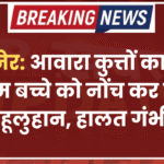 बीकानेर: आवारा कुत्तों का कहर, मासूम बच्चे को नोंच कर किया लहूलुहान, हालत गंभीर