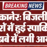 बीकानेर: बिजली के तारों में हुई स्पार्किंग, ढ़ाबे में लगी आग