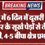 बज्जू में 6 दिन में दूसरी आग, कीकर के सूखे पेड़ों से तेजी से फैली, 4-5 बीघा क्षेत्र प्रभावित