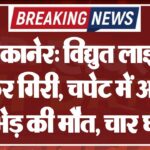 बीकानेर: विद्युत लाइन टूटकर गिरी, चपेट में आने से एक भेड़ की मौत, चार घायल