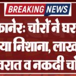 बीकानेर: चोरों ने घर को बनाया निशाना, लाखों के जेवरात व नकदी चोरी