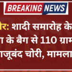 बीकानेर: शादी समारोह के दौरान महिला के बैग से 110 ग्राम सोने के बाजूबंद चोरी, मामला दर्ज